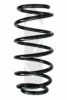 SPIDAN 49409 Coil Spring